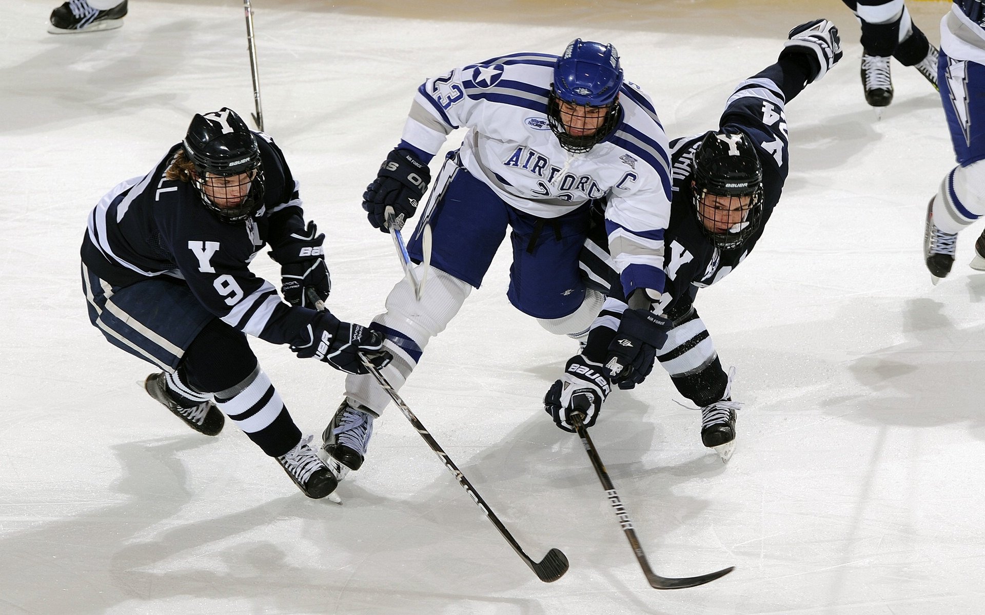 开云体育链接-北京鸭小将突破能力增强为球队注入活力,北京鸭是哪个篮球队